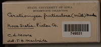 Image Associated With the Occurence